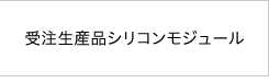 受注生産品シリコンモジュール